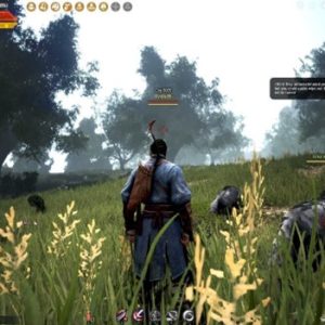 Black Desert: Is It Necessary To Pay To Win In Black Desert?