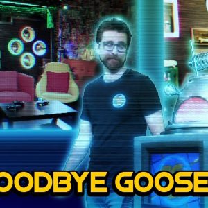 Goodbye Goose