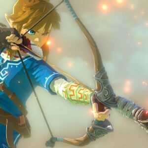 Newly Discovered BOTW Glitch Makes Getting Arrows Much Easier